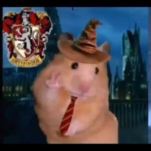 Meet your Posher, Esperanza